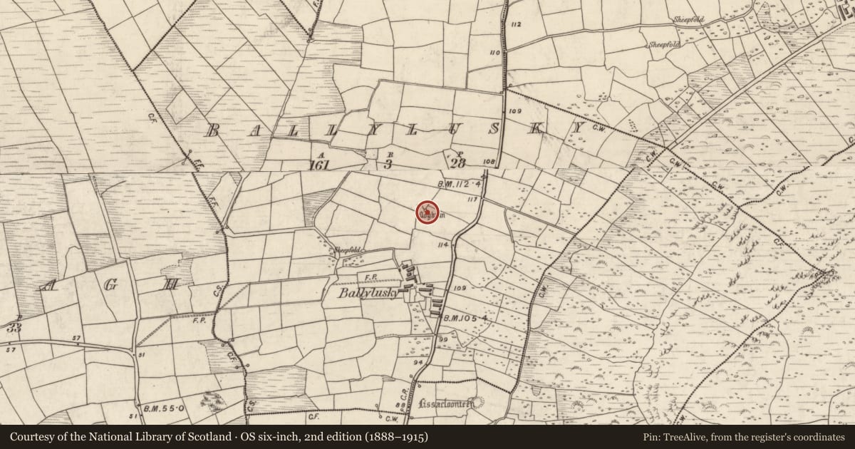 Ordnance Survey six-inch map, 2nd edition (1888–1915) covering the location of Hut site, An Baile Loiscthe, County Kerry, with a pin at the register's coordinates