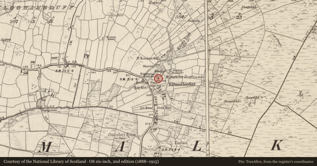 Ordnance Survey six-inch map, 2nd edition (1888–1915) covering the location of Cross - High cross, Cill Maoilchéadair, County Kerry, with a pin at the register's coordinates