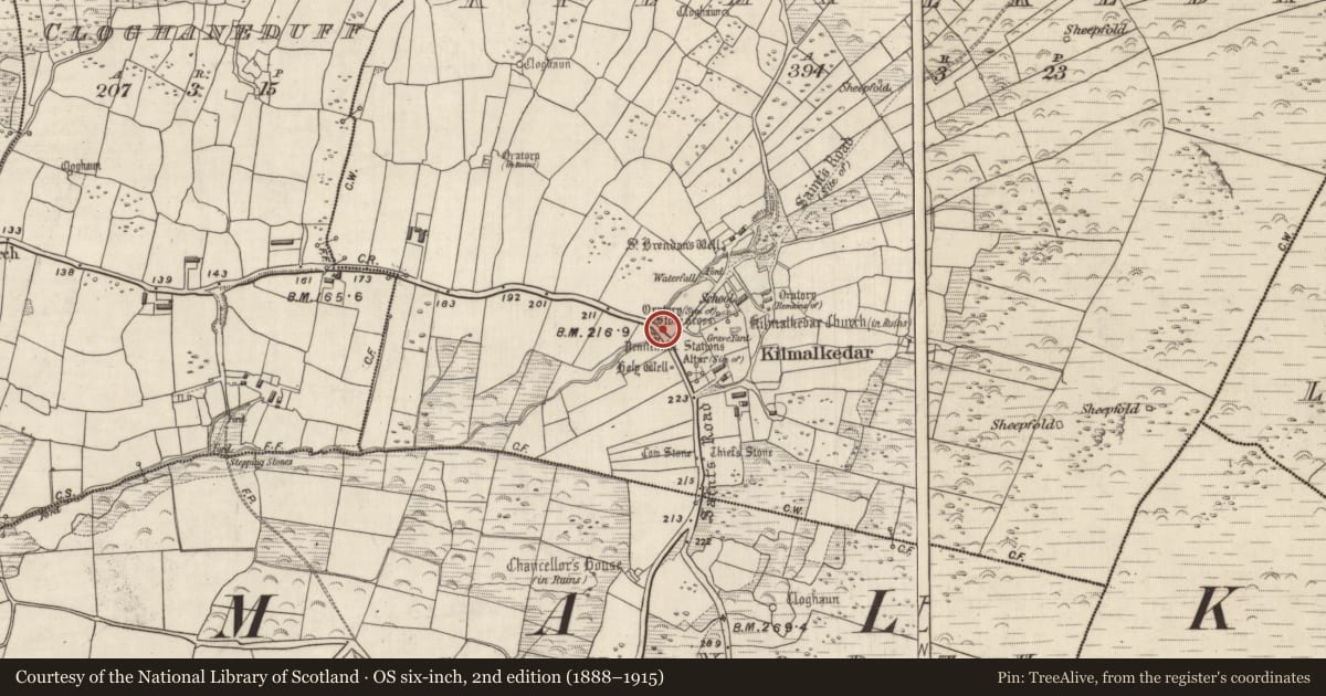 Ordnance Survey six-inch map, 2nd edition (1888–1915) covering the location of Bullaun stone, Cill Maoilchéadair, County Kerry, with a pin at the register's coordinates
