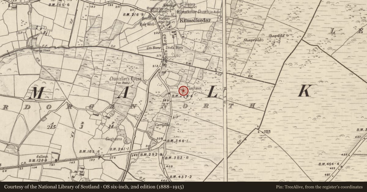 Ordnance Survey six-inch map, 2nd edition (1888–1915) covering the location of Hut site, Cathair Deargáin Thuaidh, County Kerry, with a pin at the register's coordinates