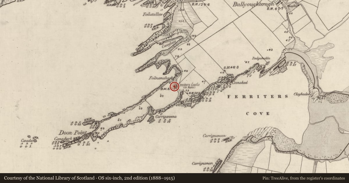 Ordnance Survey six-inch map, 2nd edition (1888–1915) covering the location of Castle - tower house, An Baile Uachtarach Theas, County Kerry, with a pin at the register's coordinates