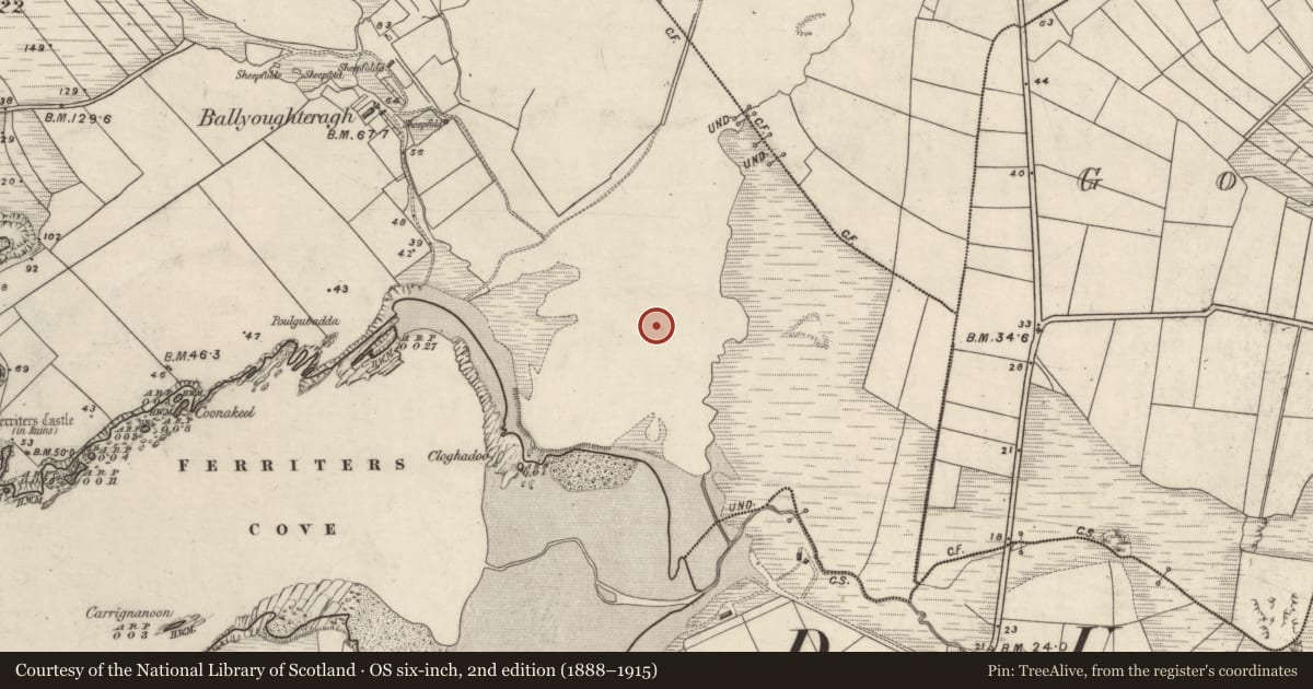 Ordnance Survey six-inch map, 2nd edition (1888–1915) covering the location of Burial ground, An Baile Uachtarach Theas, County Kerry, with a pin at the register's coordinates
