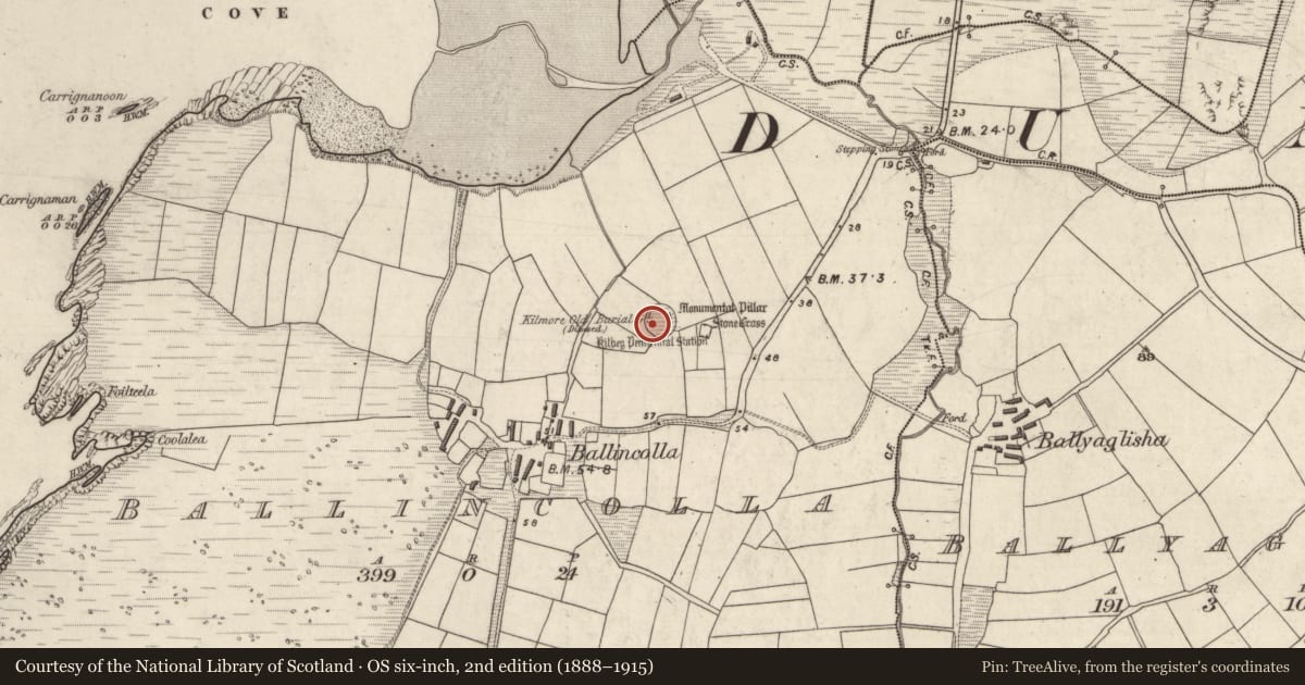 Ordnance Survey six-inch map, 2nd edition (1888–1915) covering the location of Ecclesiastical enclosure, Baile An Chalaidh, County Kerry, with a pin at the register's coordinates