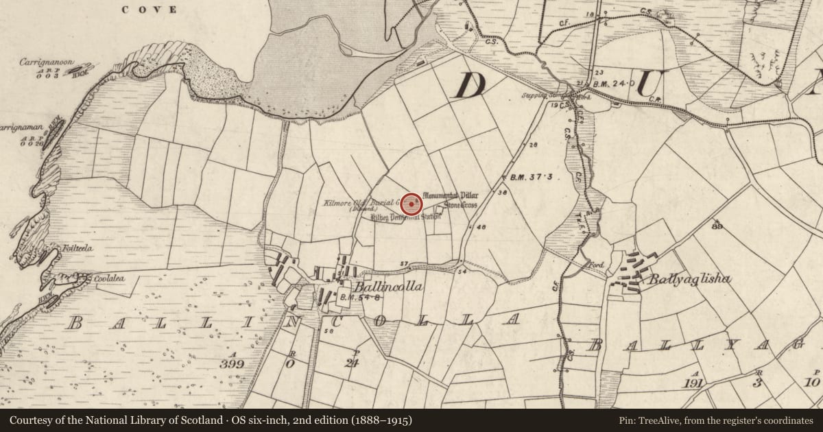 Ordnance Survey six-inch map, 2nd edition (1888–1915) covering the location of Cross-inscribed stone, Baile An Chalaidh, County Kerry, with a pin at the register's coordinates