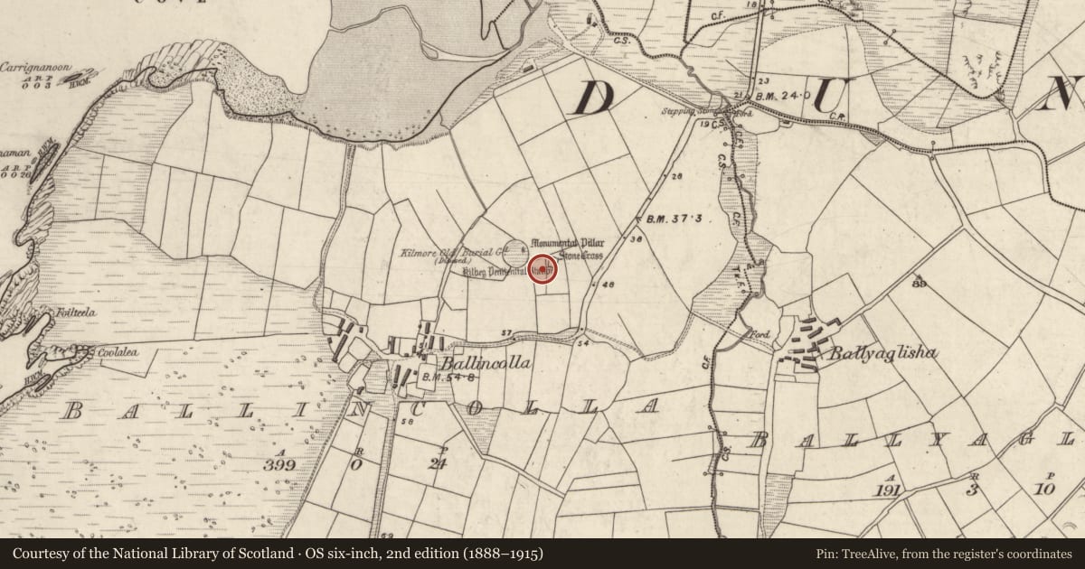 Ordnance Survey six-inch map, 2nd edition (1888–1915) covering the location of Cross-inscribed stone, Baile An Chalaidh, County Kerry, with a pin at the register's coordinates