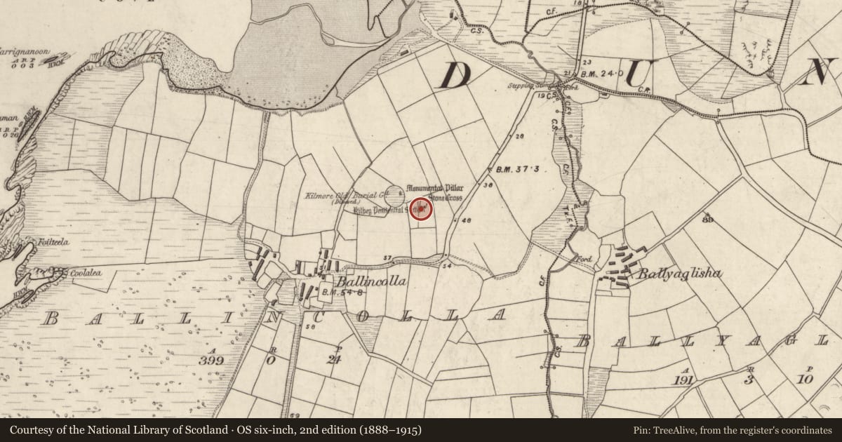 Ordnance Survey six-inch map, 2nd edition (1888–1915) covering the location of Cross-inscribed stone, Baile An Chalaidh, County Kerry, with a pin at the register's coordinates