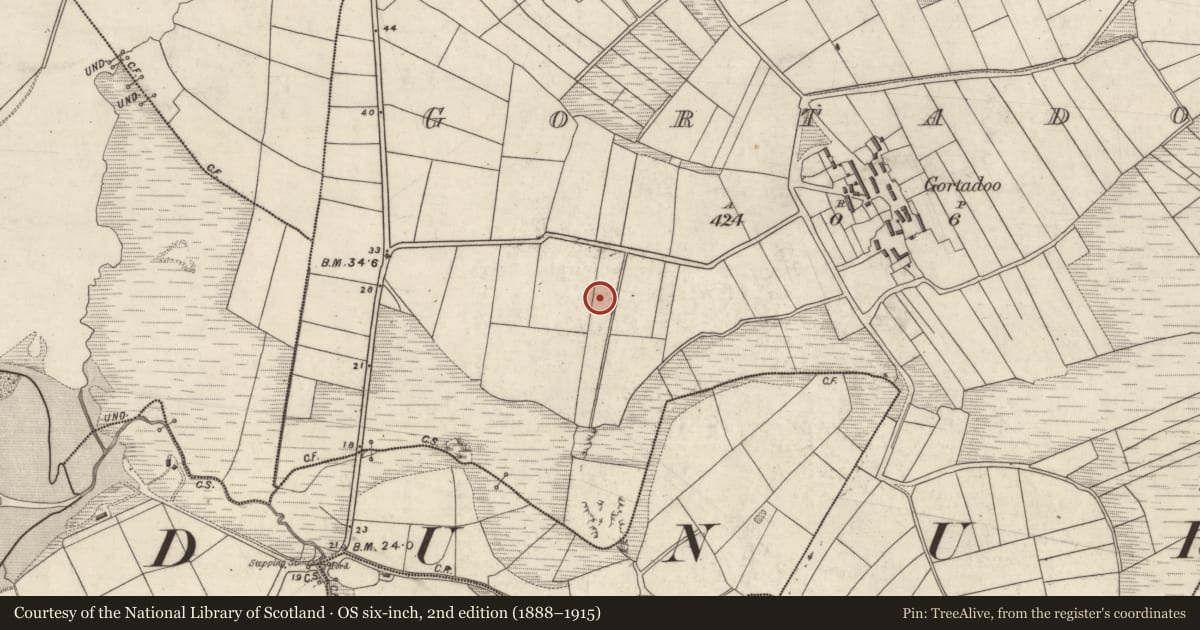 Ordnance Survey six-inch map, 2nd edition (1888–1915) covering the location of Ringfort - rath, An Gorta Dubha, County Kerry, with a pin at the register's coordinates
