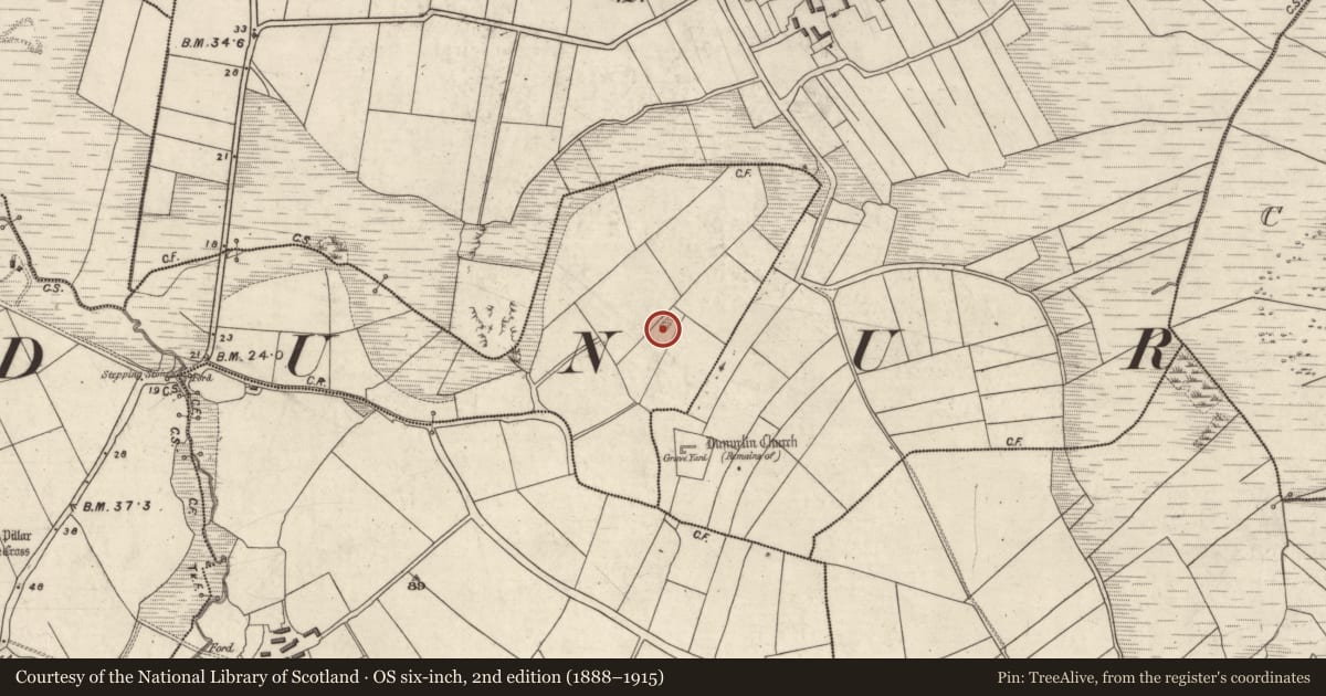 Ordnance Survey six-inch map, 2nd edition (1888–1915) covering the location of Enclosure, Baile An Chalaidh, County Kerry, with a pin at the register's coordinates