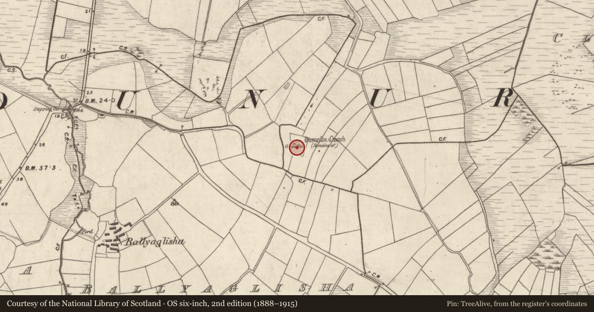 Ordnance Survey six-inch map, 2nd edition (1888–1915) covering the location of Cross-inscribed stone, An Gorta Dubha, County Kerry, with a pin at the register's coordinates