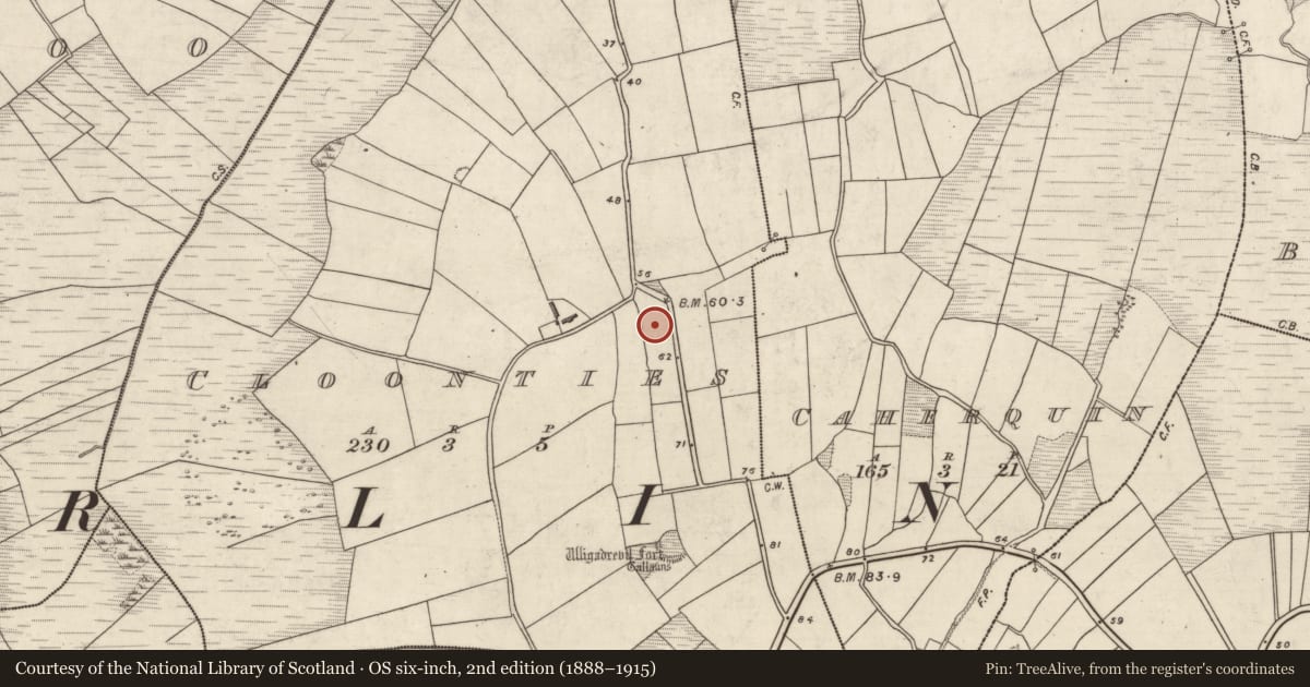 Ordnance Survey six-inch map, 2nd edition (1888–1915) covering the location of Megalithic tomb - unclassified, Na Cluainte, County Kerry, with a pin at the register's coordinates