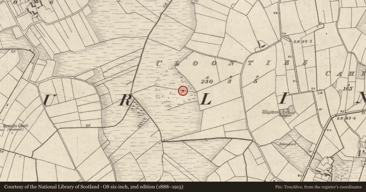 Ordnance Survey six-inch map, 2nd edition (1888–1915) covering the location of Souterrain, Na Cluainte, County Kerry, with a pin at the register's coordinates