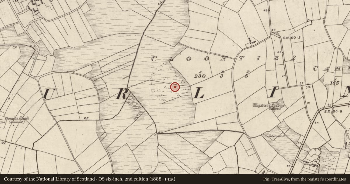 Ordnance Survey six-inch map, 2nd edition (1888–1915) covering the location of Enclosure, Na Cluainte, County Kerry, with a pin at the register's coordinates