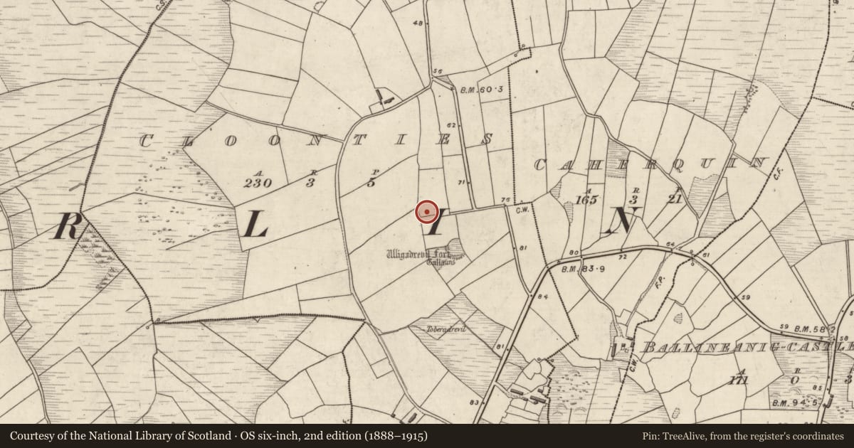 Ordnance Survey six-inch map, 2nd edition (1888–1915) covering the location of Hut site, Na Cluainte, County Kerry, with a pin at the register's coordinates