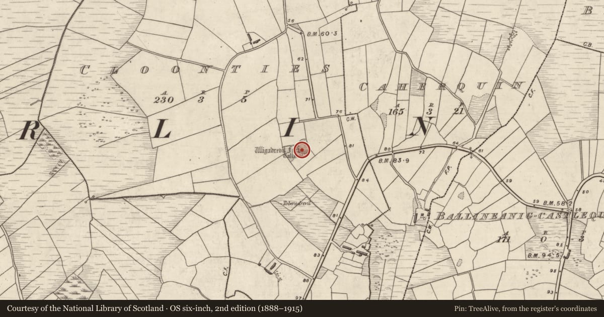 Ordnance Survey six-inch map, 2nd edition (1888–1915) covering the location of Children's burial ground, Na Cluainte, County Kerry, with a pin at the register's coordinates