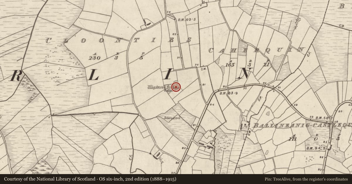 Ordnance Survey six-inch map, 2nd edition (1888–1915) covering the location of Hut site, Na Cluainte, County Kerry, with a pin at the register's coordinates