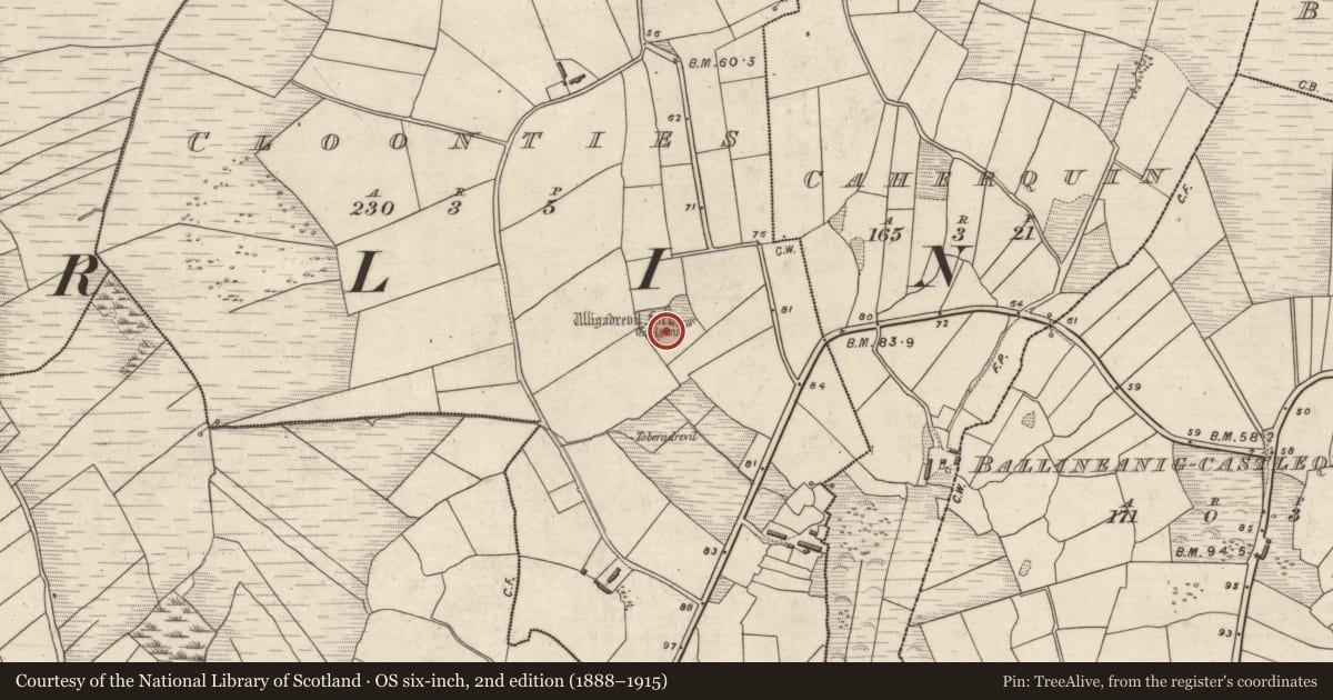 Ordnance Survey six-inch map, 2nd edition (1888–1915) covering the location of Hut site, Na Cluainte, County Kerry, with a pin at the register's coordinates