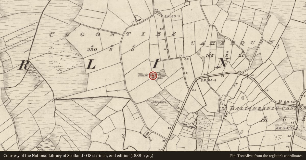 Ordnance Survey six-inch map, 2nd edition (1888–1915) covering the location of Hut site, Na Cluainte, County Kerry, with a pin at the register's coordinates