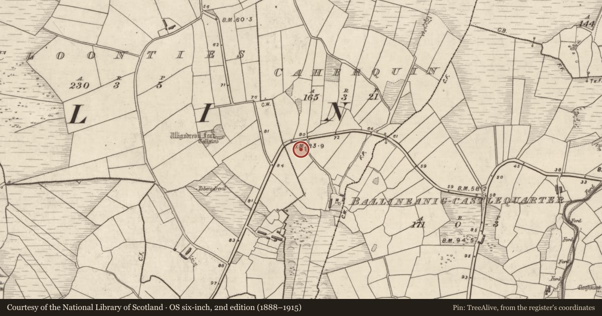 Ordnance Survey six-inch map, 2nd edition (1888–1915) covering the location of Souterrain, Cathair Coinn, County Kerry, with a pin at the register's coordinates