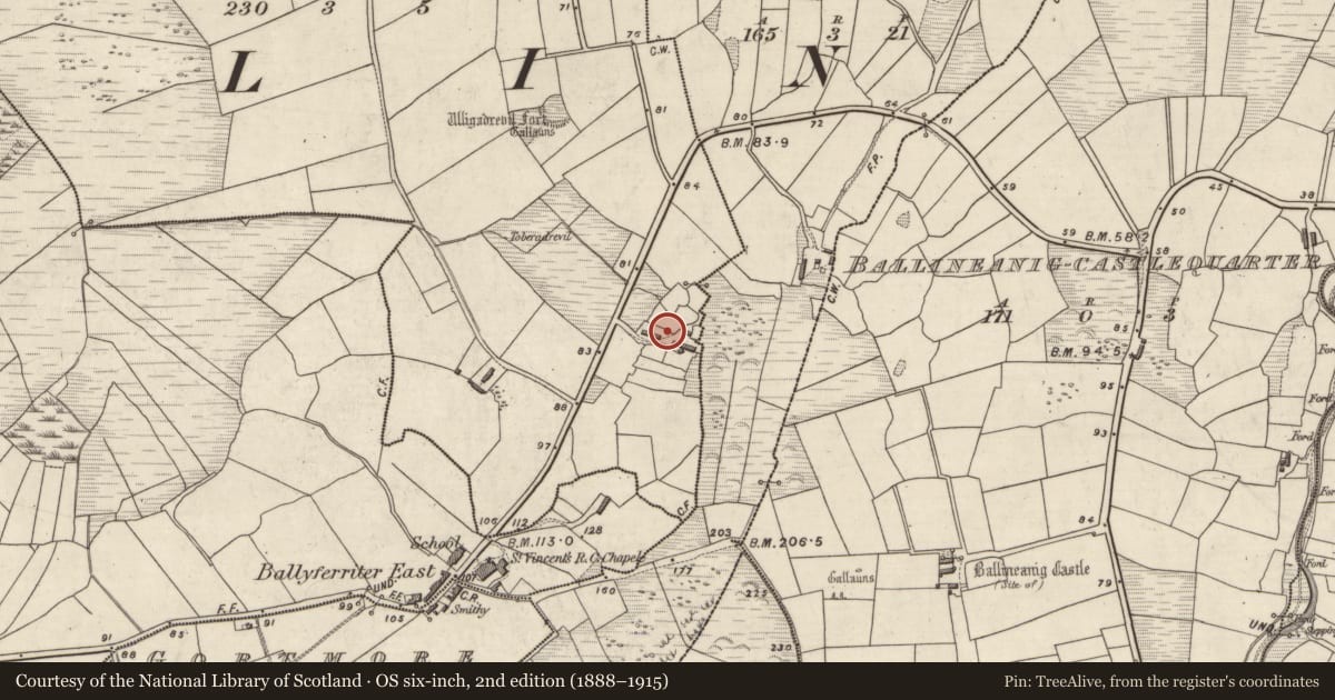 Ordnance Survey six-inch map, 2nd edition (1888–1915) covering the location of Hut site, Na Cluainte, County Kerry, with a pin at the register's coordinates
