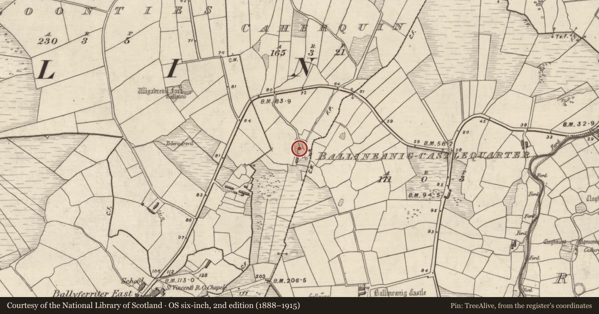 Ordnance Survey six-inch map, 2nd edition (1888–1915) covering the location of Ringfort - cashel, Cathair Coinn, County Kerry, with a pin at the register's coordinates
