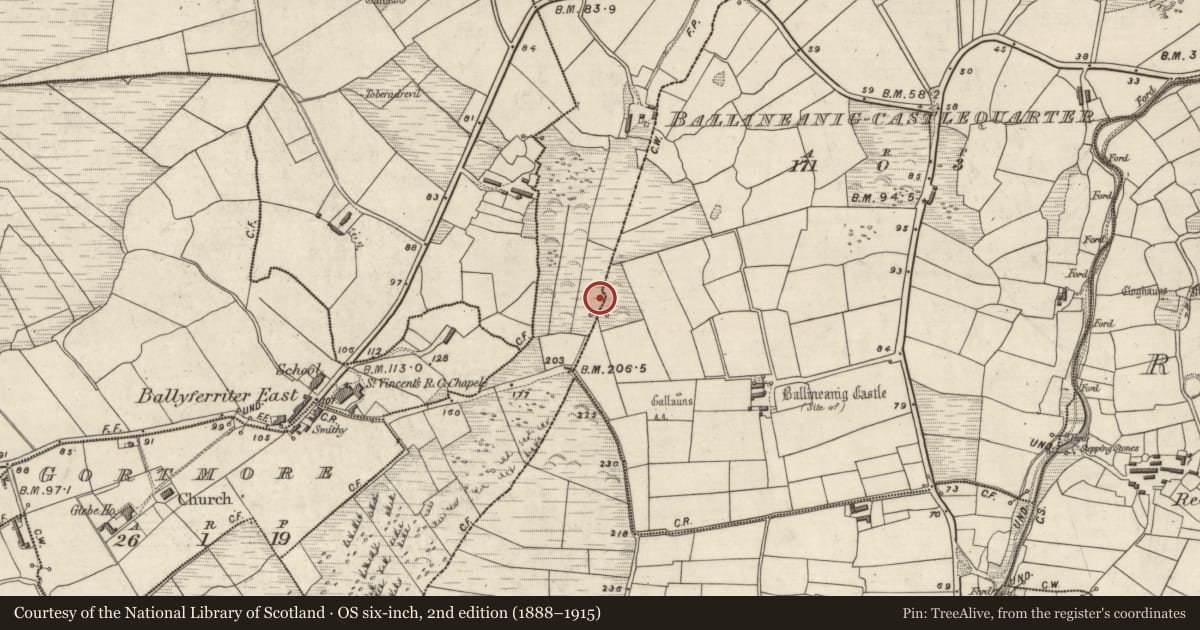 Ordnance Survey six-inch map, 2nd edition (1888–1915) covering the location of Clochan, Cathair Coinn, Ceathrú An Chaisleáin, County Kerry, with a pin at the register's coordinates