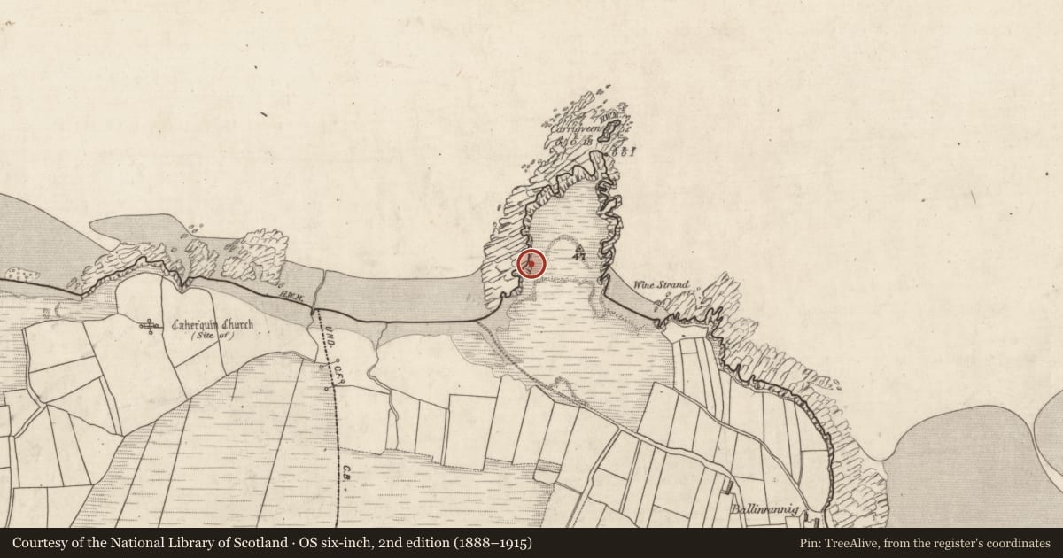 Ordnance Survey six-inch map, 2nd edition (1888–1915) covering the location of Prehistoric site - lithic scatter, Baile An Reannaigh, County Kerry, with a pin at the register's coordinates