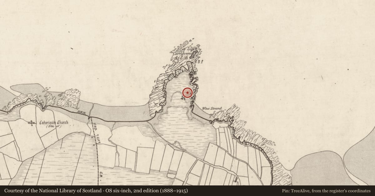 Ordnance Survey six-inch map, 2nd edition (1888–1915) covering the location of Midden, Baile An Reannaigh, County Kerry, with a pin at the register's coordinates