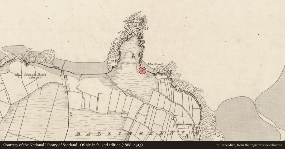 Ordnance Survey six-inch map, 2nd edition (1888–1915) covering the location of Fulacht fia, Baile An Reannaigh, County Kerry, with a pin at the register's coordinates