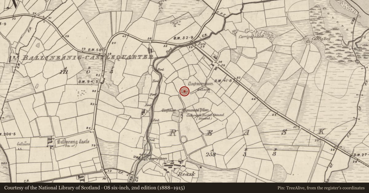 Ordnance Survey six-inch map, 2nd edition (1888–1915) covering the location of Hut site, An Riasc, County Kerry, with a pin at the register's coordinates