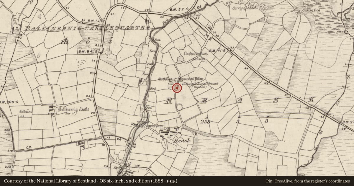 Ordnance Survey six-inch map, 2nd edition (1888–1915) covering the location of Cross-slab, An Riasc, County Kerry, with a pin at the register's coordinates