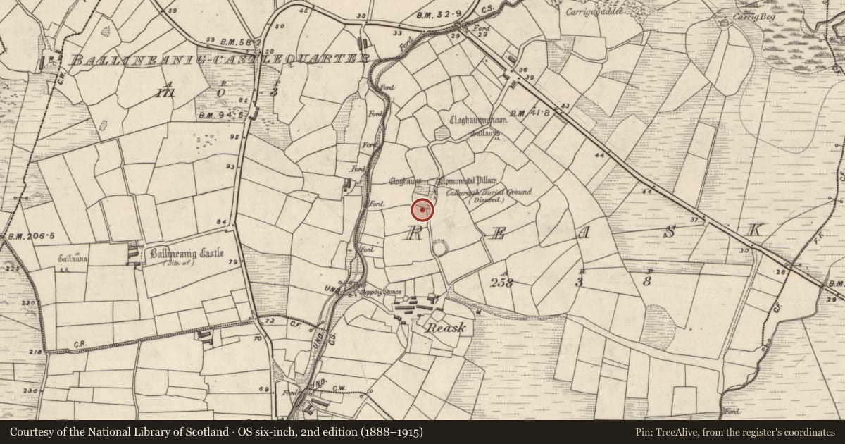 Ordnance Survey six-inch map, 2nd edition (1888–1915) covering the location of Hut site, An Riasc, County Kerry, with a pin at the register's coordinates