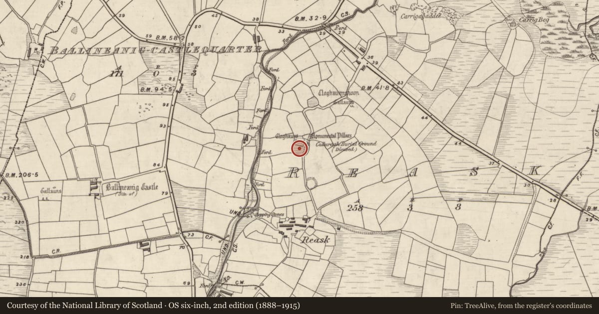 Ordnance Survey six-inch map, 2nd edition (1888–1915) covering the location of Cross-slab, An Riasc, County Kerry, with a pin at the register's coordinates
