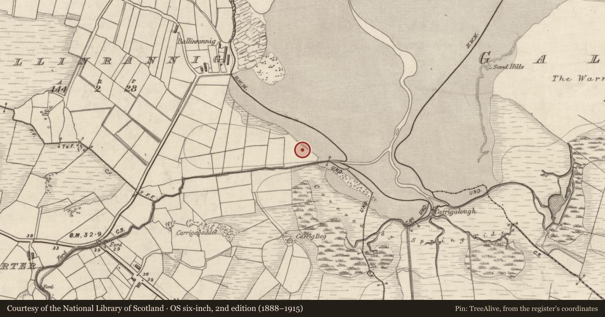 Ordnance Survey six-inch map, 2nd edition (1888–1915) covering the location of Midden, Baile An Reannaigh, County Kerry, with a pin at the register's coordinates