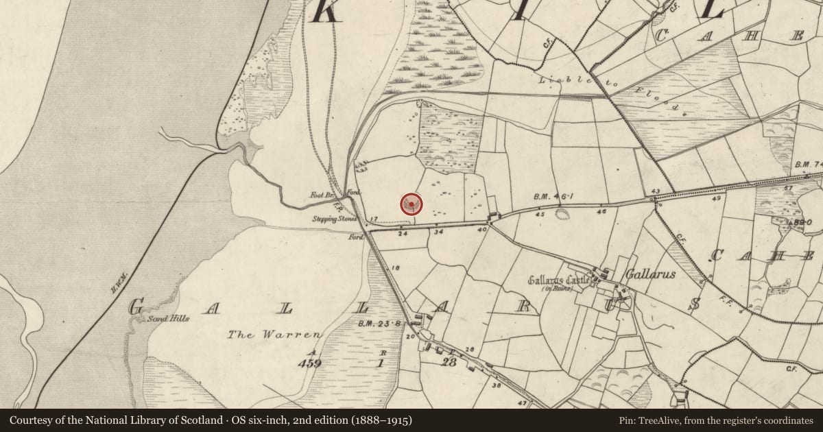 Ordnance Survey six-inch map, 2nd edition (1888–1915) covering the location of Enclosure, Gallaras, County Kerry, with a pin at the register's coordinates
