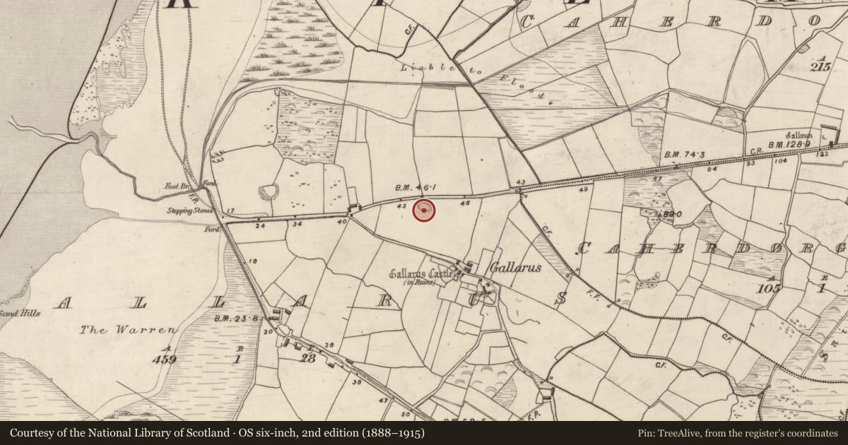 Ordnance Survey six-inch map, 2nd edition (1888–1915) covering the location of Ringfort - rath, Gallaras, County Kerry, with a pin at the register's coordinates