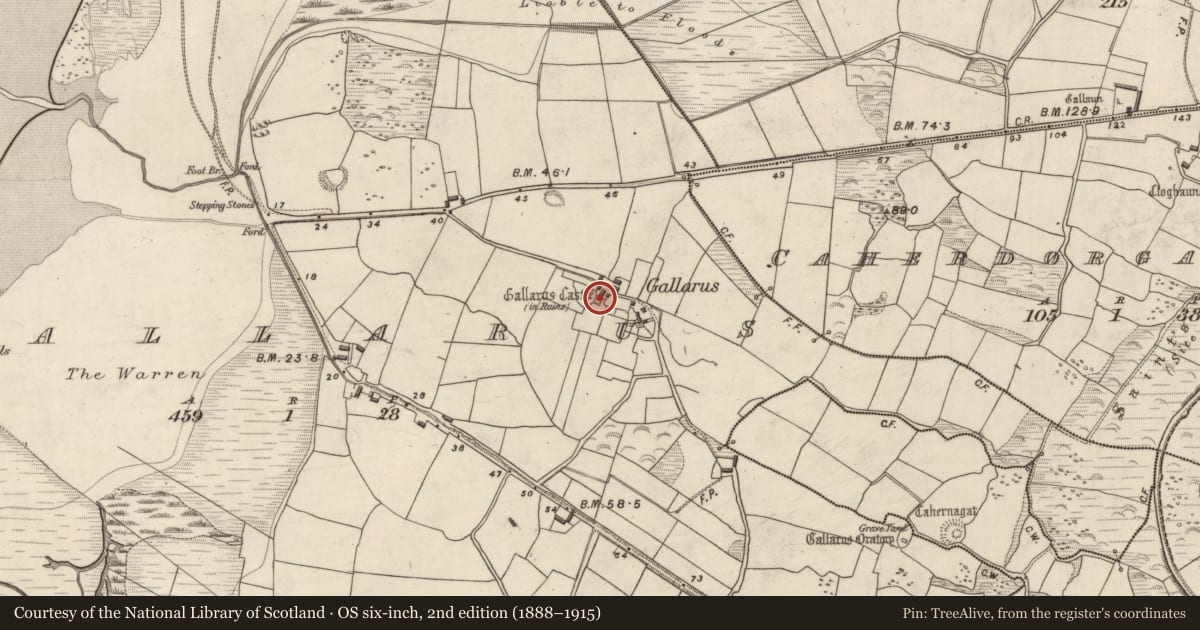 Ordnance Survey six-inch map, 2nd edition (1888–1915) covering the location of Castle - tower house, Gallaras, County Kerry, with a pin at the register's coordinates