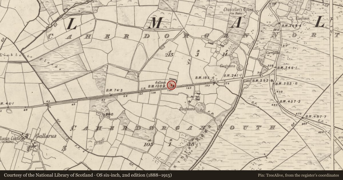 Ordnance Survey six-inch map, 2nd edition (1888–1915) covering the location of Standing stone, Cathair Deargáin Thuaidh, County Kerry, with a pin at the register's coordinates