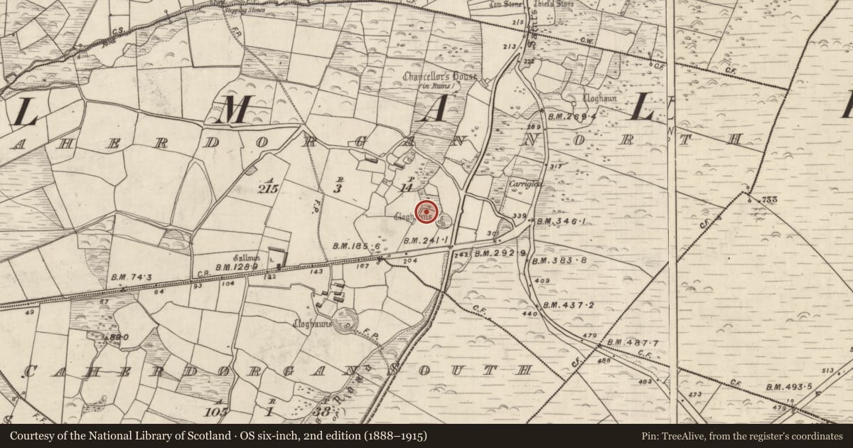 Ordnance Survey six-inch map, 2nd edition (1888–1915) covering the location of Standing stone, Cathair Deargáin Thuaidh, County Kerry, with a pin at the register's coordinates