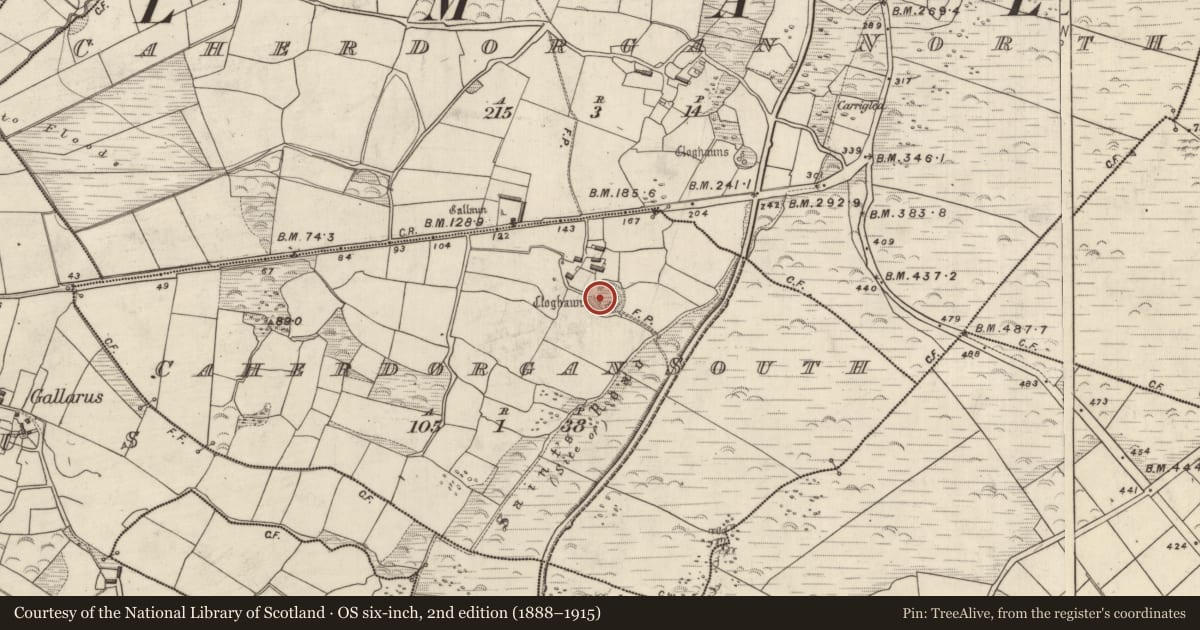 Ordnance Survey six-inch map, 2nd edition (1888–1915) covering the location of Hut site, Cathair Deargáin Theas, County Kerry, with a pin at the register's coordinates