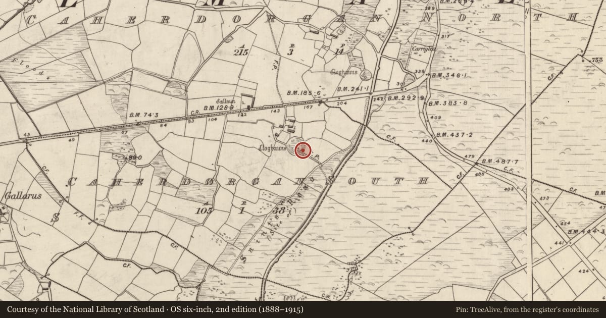Ordnance Survey six-inch map, 2nd edition (1888–1915) covering the location of Hut site, Cathair Deargáin Theas, County Kerry, with a pin at the register's coordinates