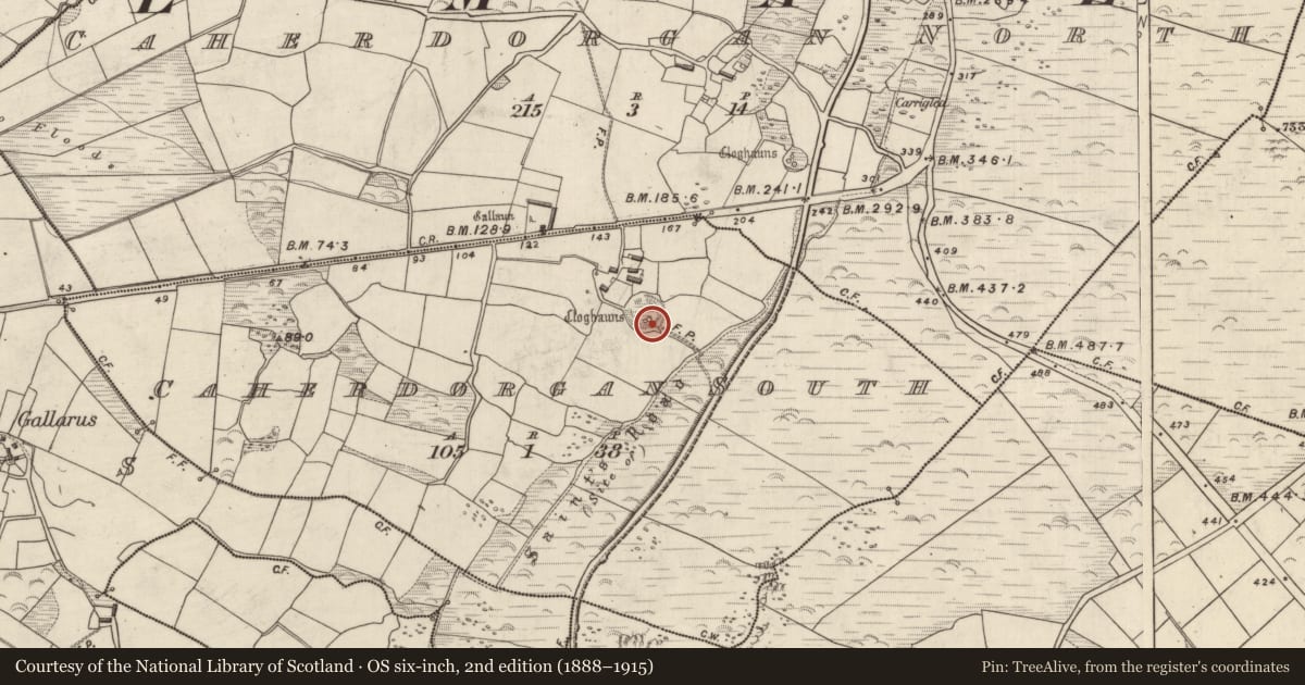 Ordnance Survey six-inch map, 2nd edition (1888–1915) covering the location of Hut site, Cathair Deargáin Theas, County Kerry, with a pin at the register's coordinates