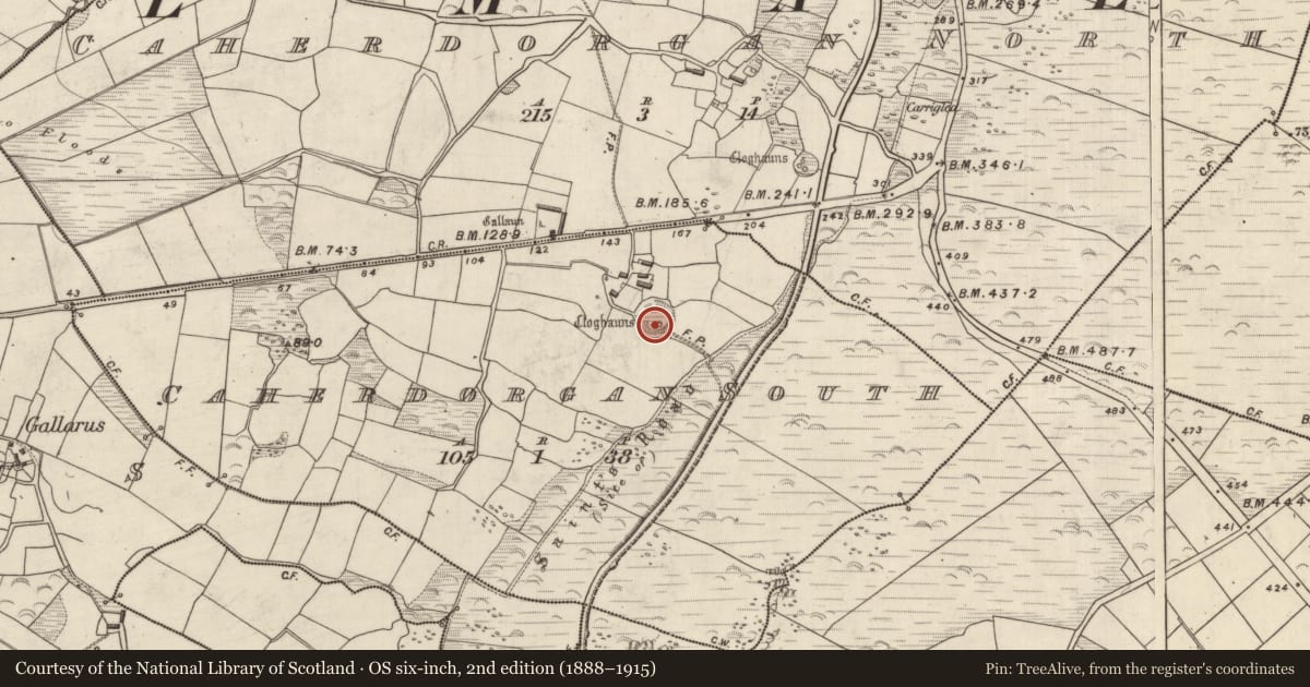 Ordnance Survey six-inch map, 2nd edition (1888–1915) covering the location of Hut site, Cathair Deargáin Theas, County Kerry, with a pin at the register's coordinates