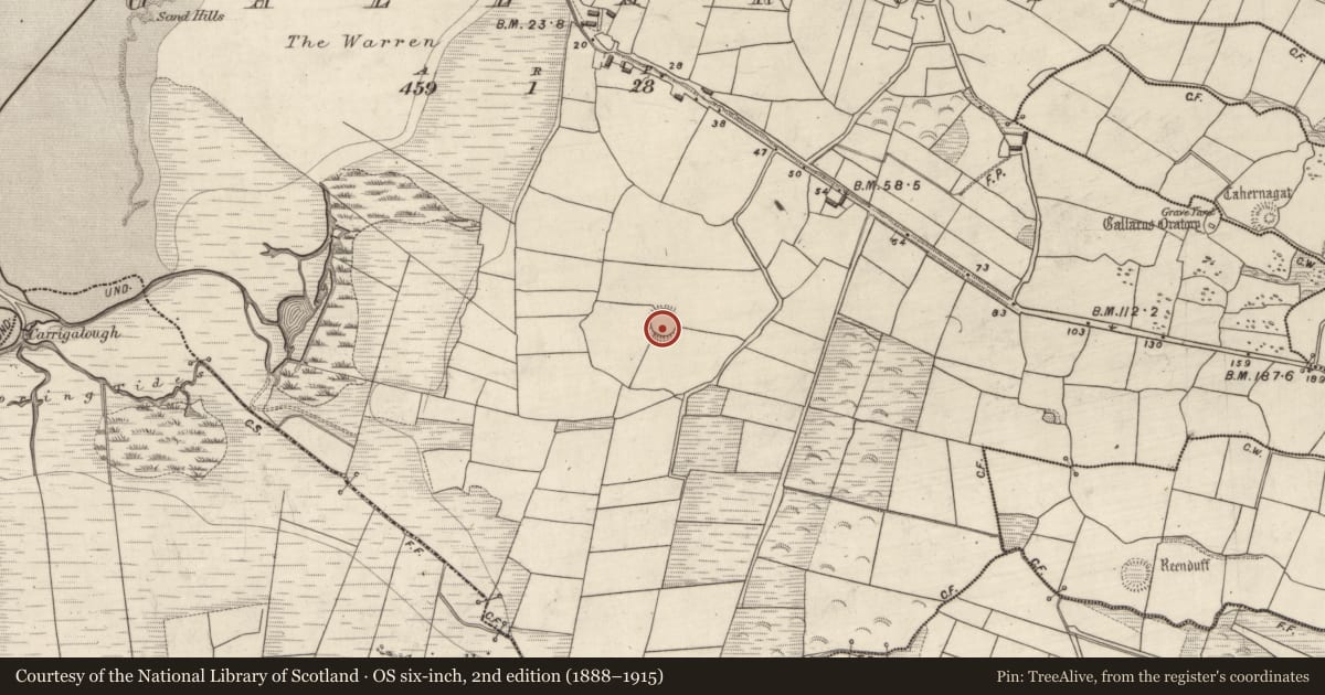 Ordnance Survey six-inch map, 2nd edition (1888–1915) covering the location of Ringfort - rath, Gallaras, County Kerry, with a pin at the register's coordinates