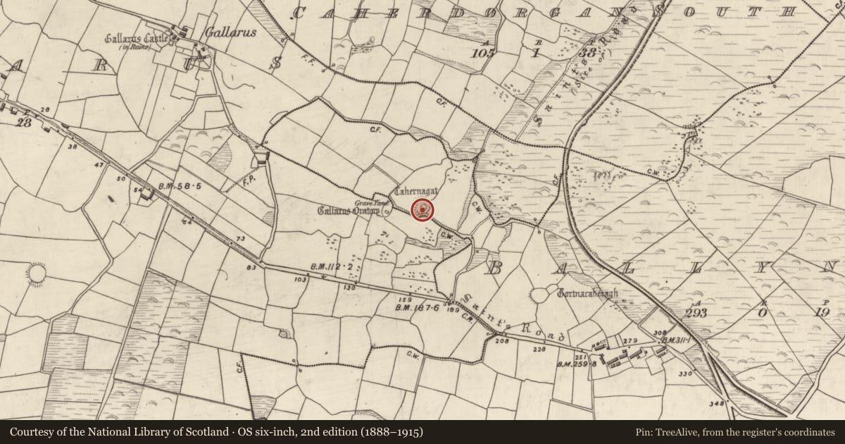Ordnance Survey six-inch map, 2nd edition (1888–1915) covering the location of Ringfort - cashel, Baile Na Náith, County Kerry, with a pin at the register's coordinates