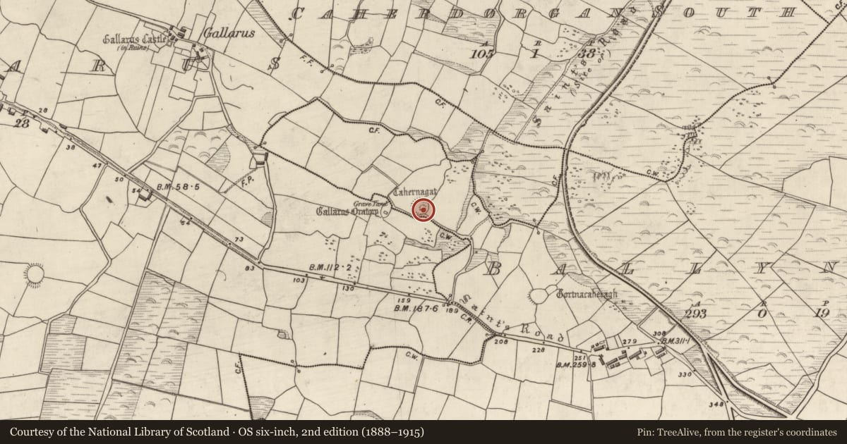 Ordnance Survey six-inch map, 2nd edition (1888–1915) covering the location of Hut site, Baile Na Náith, County Kerry, with a pin at the register's coordinates