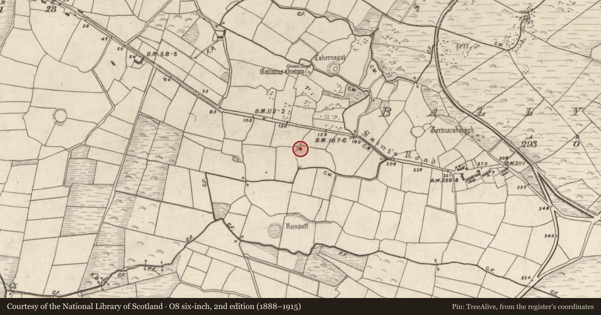 Ordnance Survey six-inch map, 2nd edition (1888–1915) covering the location of Ringfort - rath, Gallaras, County Kerry, with a pin at the register's coordinates