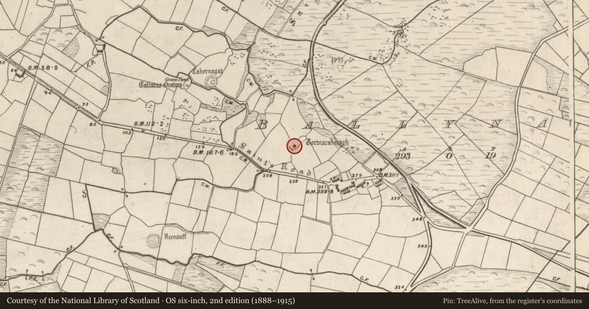 Ordnance Survey six-inch map, 2nd edition (1888–1915) covering the location of Children's burial ground, Baile Na Náith, County Kerry, with a pin at the register's coordinates