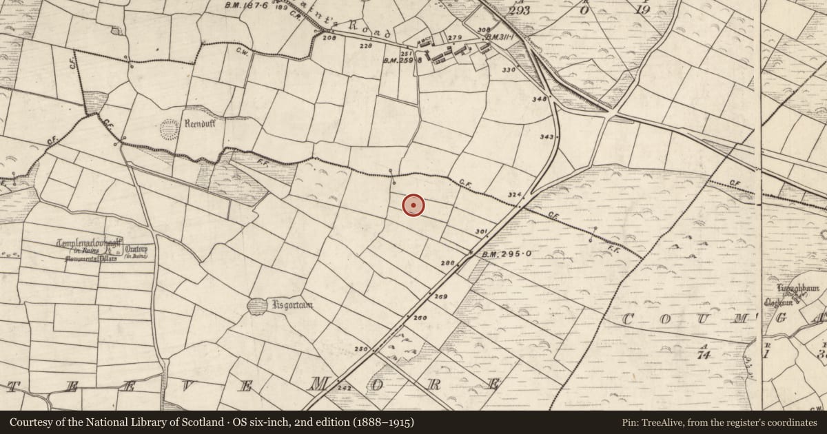 Ordnance Survey six-inch map, 2nd edition (1888–1915) covering the location of Standing stone, Leataoibh Mór, County Kerry, with a pin at the register's coordinates