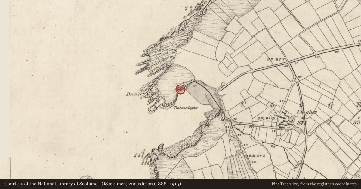 Ordnance Survey six-inch map, 2nd edition (1888–1915) covering the location of Stone row, Cloichear, County Kerry, with a pin at the register's coordinates