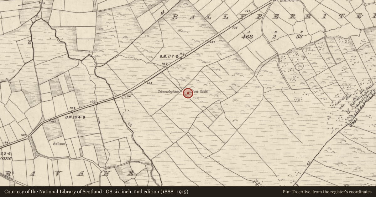 Ordnance Survey six-inch map, 2nd edition (1888–1915) covering the location of Hut site, Baile An Fheirtéaraigh, County Kerry, with a pin at the register's coordinates